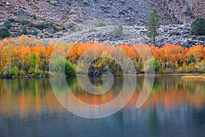 Autumn reflection