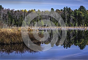 Autumn Reflection