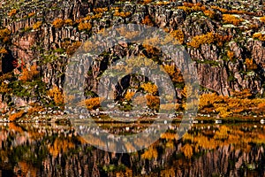 Autumn reflection in the lake photo