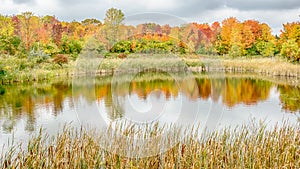 Autumn Reflection on North Dogwood Pond, Woodland Hills Nature Center, MI