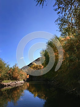 Autumn reflection on the Salt River