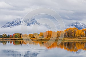 Autumn Reflection Scenic Landscape in the Tetons