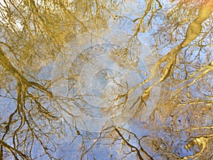 Autumn reflection of trees and sky in curled water