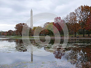 Autumn reflection of trees and Washington monument