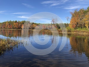 Autumn reflections