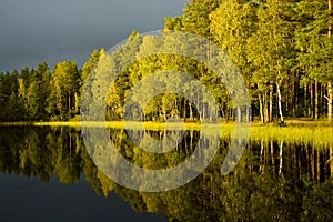 Autumn reflections