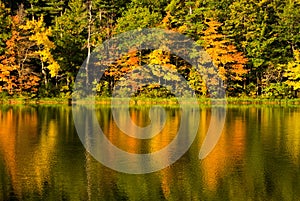Autumn Reflections photo
