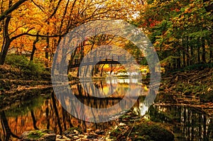 Autumn reflections in baegyangsa temple