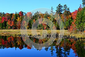 Autumn reflections Landscape