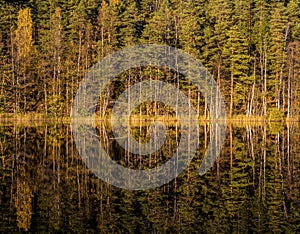 Autumn reflections in Finland