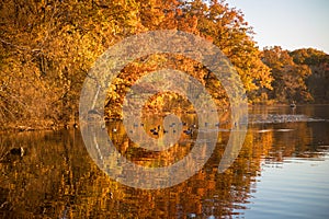 Autumn reflections of foliage in the lake