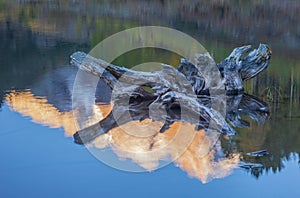 Autumn Reflections Maroon Bells at Sunrise