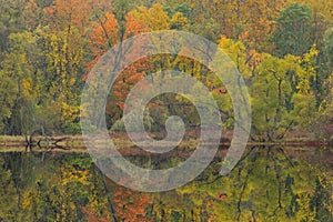 Autumn Reflections Pond Lily Lake