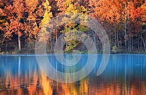 Autumn reflections photo