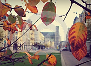 Autumn in Reims