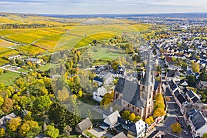 Autumn in the Rheingau vineyards