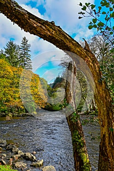 Autumn by the river