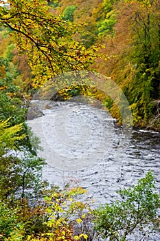 Autumn river