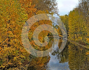 Autumn river