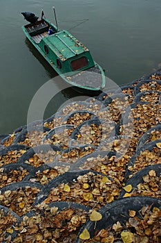 Autumn on river