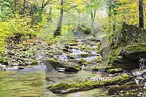 Autumn on the river