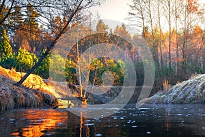 Autumn river landscape