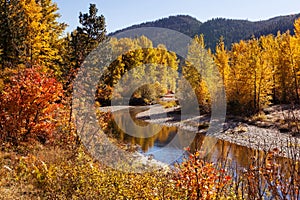 Autumn river landscape in mountains