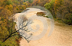 Autumn river landscape