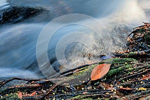 Autumn River with Leaf