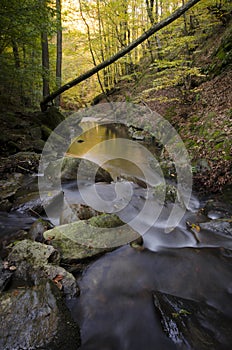 Autumn river with rocks and rapids in autumn