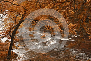 Autumn by a river,Rocks of Solitude walk,Brechin,Aberdeenshire,Scotland,UK