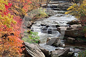 Autumn River Scene