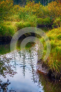 Autumn river scene in Podporozhye