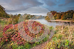 Autumn on River Tyne