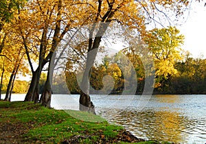 Autumn Riverbank Landscape photo