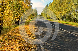 Autumn road