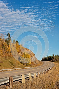 Autumn Road