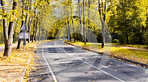 Autumn road