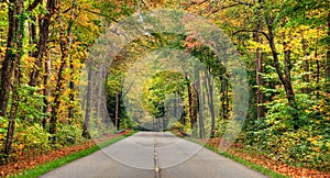 Autumn road