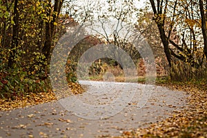 Autumn road