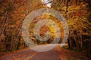 Autumn Road