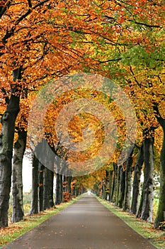 Herbst Straßen 
