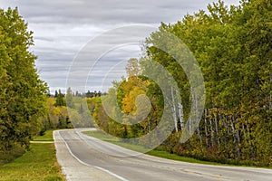 Autumn road