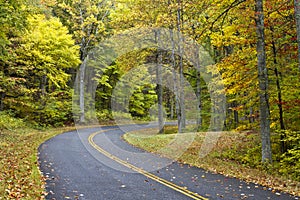 Autumn Road, Blue Ridge Parkway