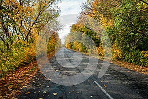 Autumn road in the day