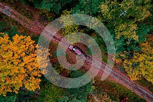 Autumn road in forest, concept of trip by red car aerial top view
