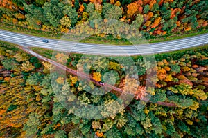 Autumn road in forest, concept of trip by red car aerial top view