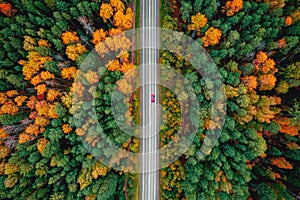 Autumn road in forest, concept of trip by red car aerial top view