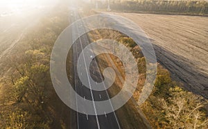 Autumn road in forest drone aerial shot, Overhead view of foliage trees