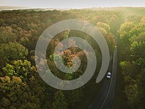 Autumn road in forest drone aerial shot, Overhead view of foliage trees